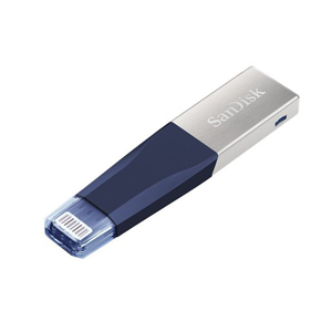 SanDisk SDIX40N-128G-GN6ND